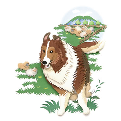 5月／牧羊犬：シェットランド・シープドッグ
